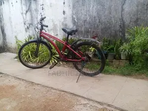 Medium Size Red Bicycle