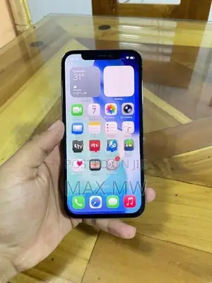 Apple iPhone 12 Pro 256GB (Used)