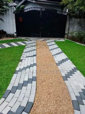 Malaysian Grass