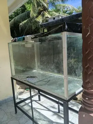 Fish Tank