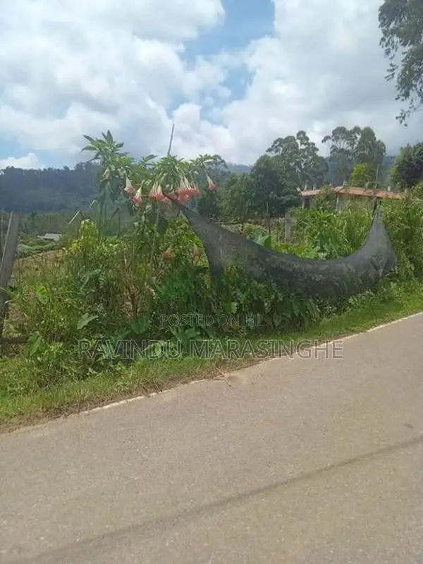 Land for Sale in Diyathalawa, Bandarawela