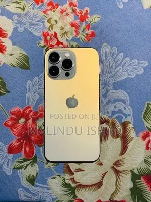 Apple iPhone 13 Pro 128GB (Used)
