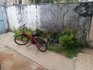 Medium Size Red Bicycle