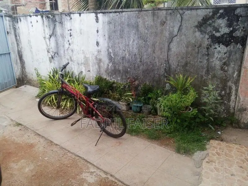 Medium Size Red Bicycle
