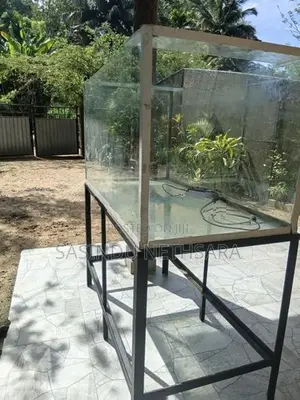 Fish Tank