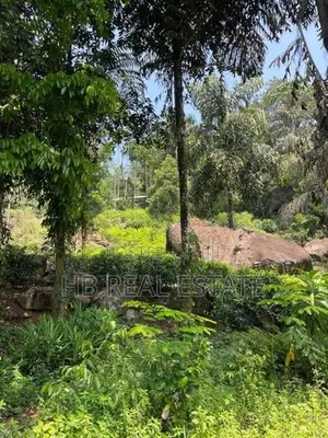 Land for Sale in Neluwa