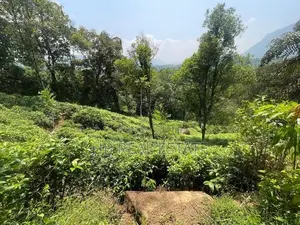 Land for Sale in Neluwa