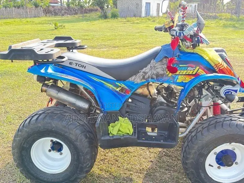 E-Ton ATV Beachbike 2023