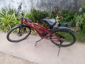 Medium Size Red Bicycle