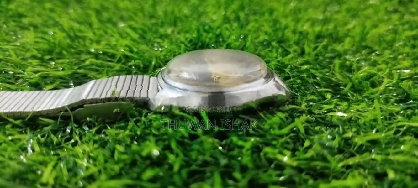 Mondia Watch