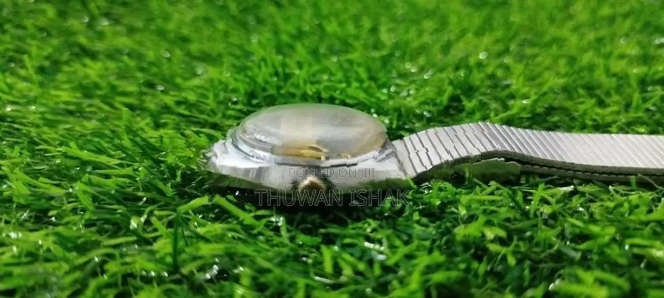 Mondia Watch