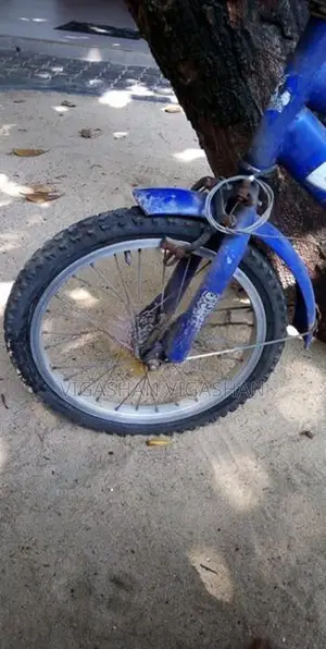 Kid's Bicycle