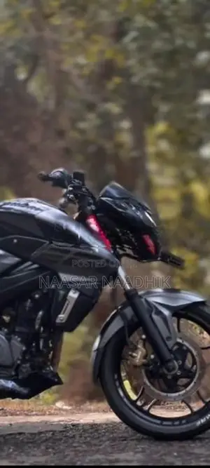 Bajaj Pulsar NS200 BS4 2017