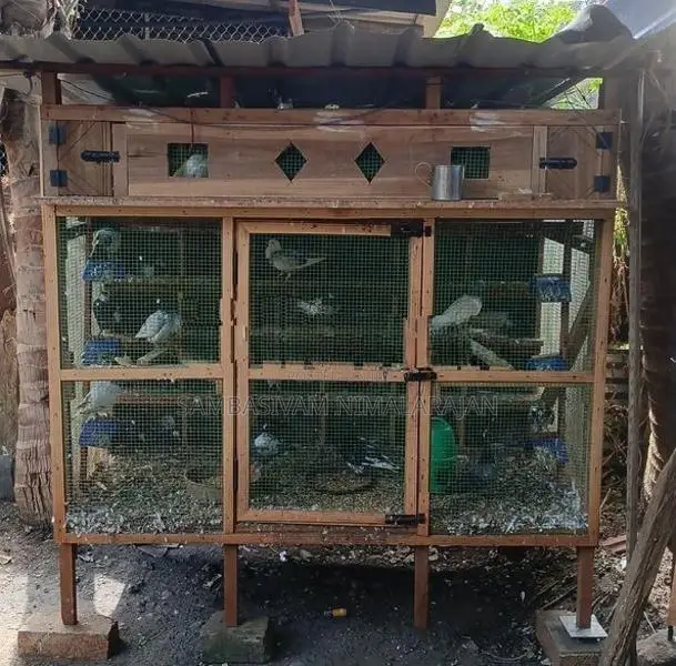 Wooden Pigeon Cage