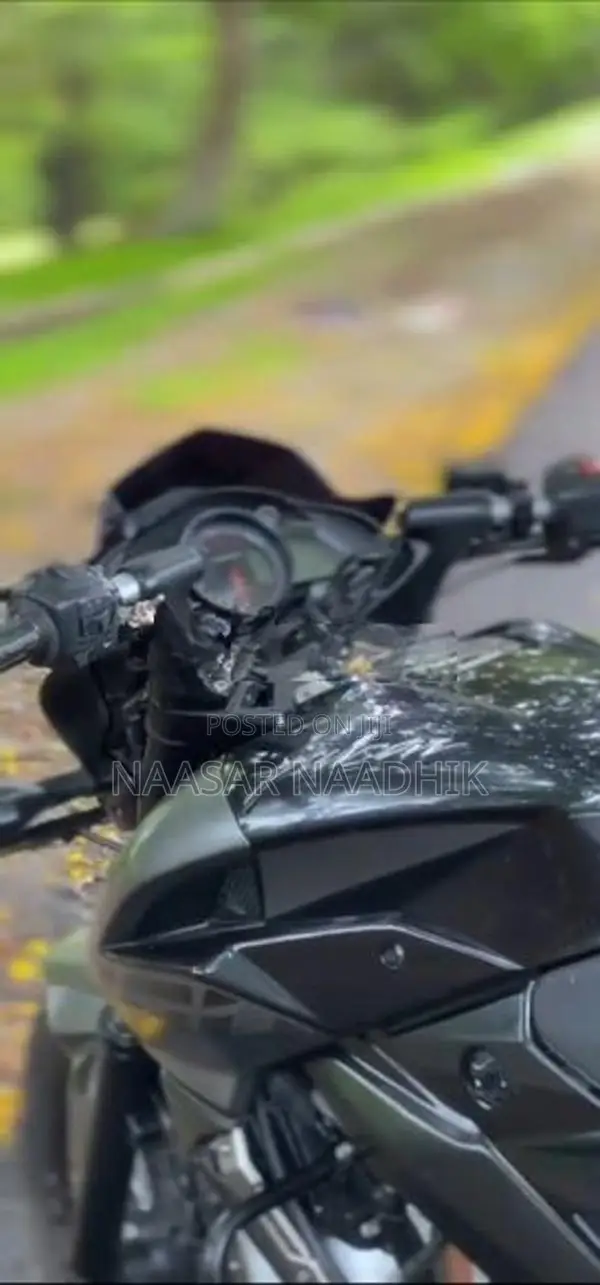 Bajaj Pulsar NS200 BS4 2017