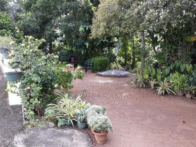 House with Property for Sale Mawanella