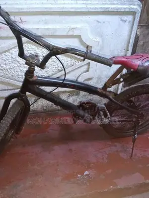 Box Bicycle