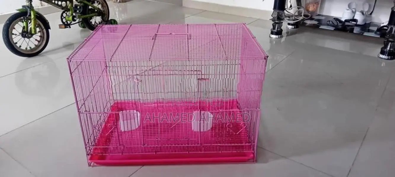Birds Cage