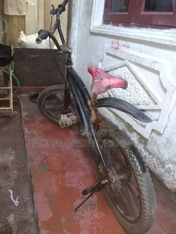 Box Bicycle