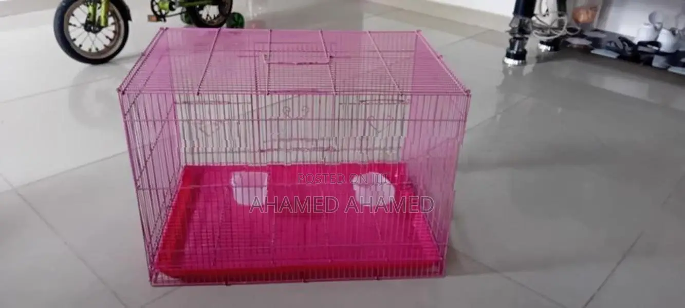 Birds Cage