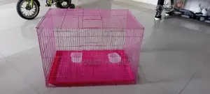 Birds Cage