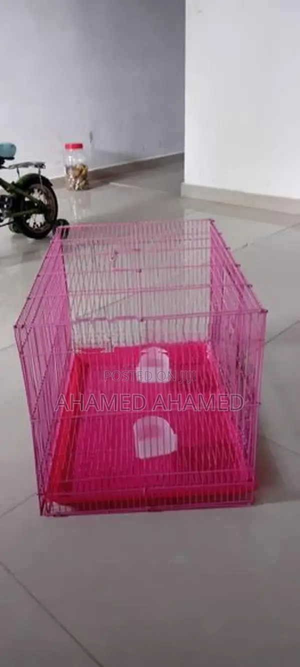 Birds Cage