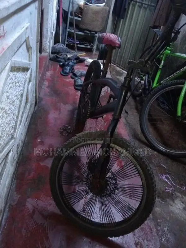 Box Bicycle