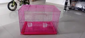Birds Cage