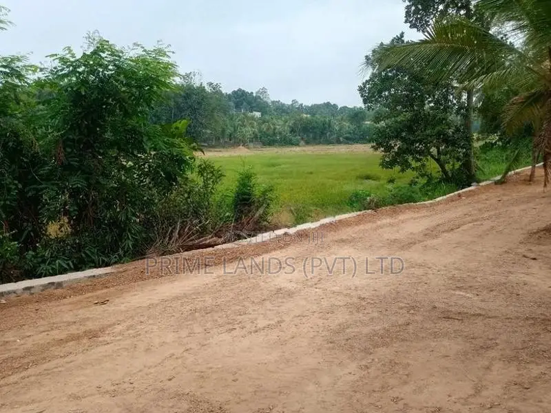 කඩවත වෑබඩ අසපුව පාරෙන් බිම් කොටස්