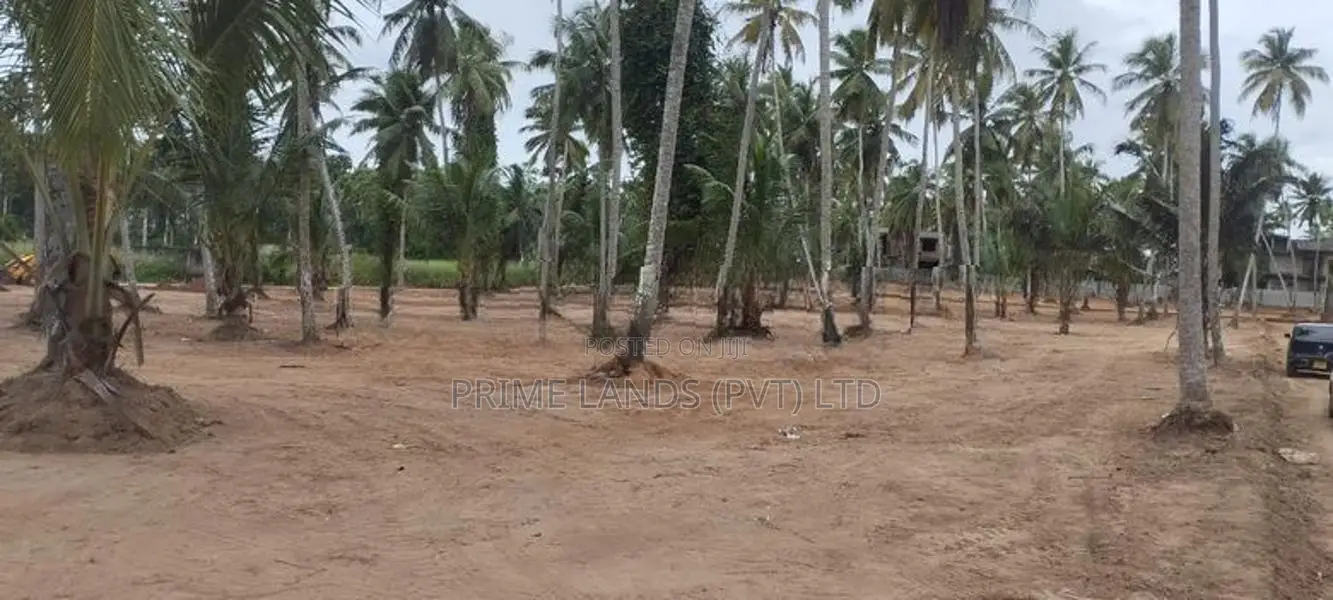 ගම්පහ දිවුලපිටිය බිම් කොටස්