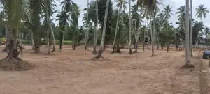 ගම්පහ දිවුලපිටිය බිම් කොටස්