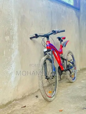 Tomahawk Bicycle
