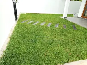 තණකොළ පදුරු