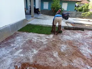 තණකොළ පදුරු