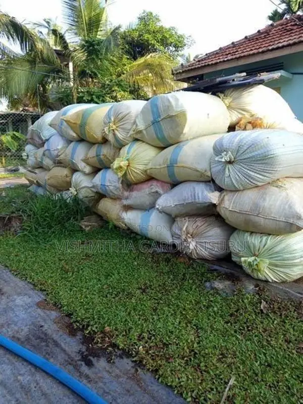Grass Carpet