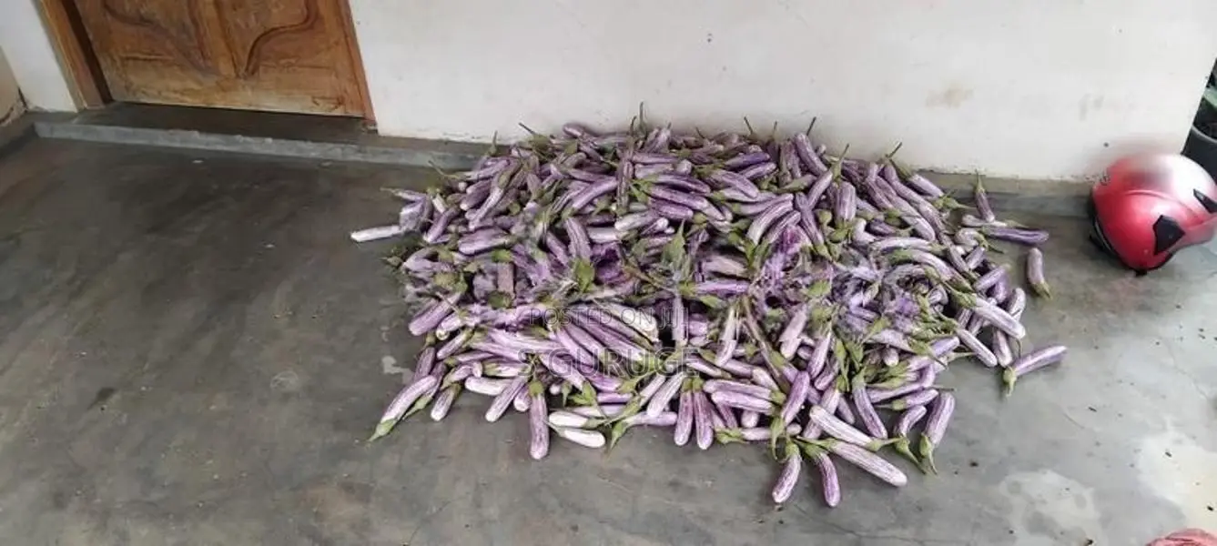 බටු පැළ