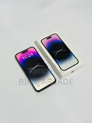Apple iPhone 14 Pro Max 256GB (Used)