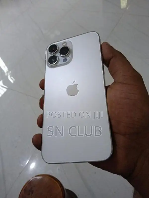 Apple iPhone 13 Pro Max 256GB (Used)