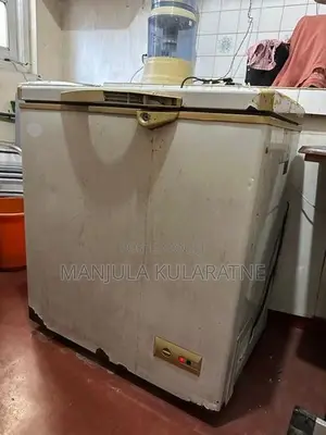Sisil Deep Freezer (142 liters)