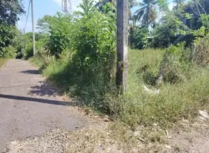 කොට්ටාව පොල්ගස්ඕවිට ජාලියගමින් වටිනා පර්චස් 33ක ඉඩමක් විකිනීමට(Axxxei9
