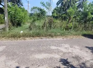 කොට්ටාව පොල්ගස්ඕවිට ජාලියගමින් වටිනා පර්චස් 33ක ඉඩමක් විකිනීමට(Axxxei9