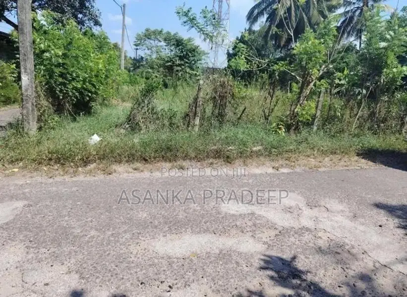 කොට්ටාව පොල්ගස්ඕවිට ජාලියගමින් වටිනා පර්චස් 33ක ඉඩමක් විකිනීමට(Axxxei9