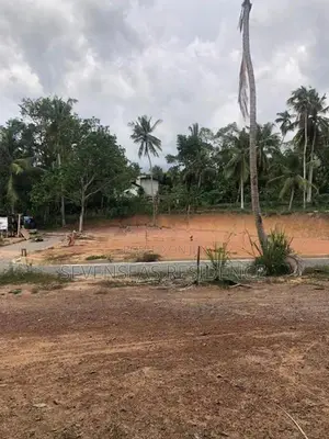 ජාඇලින් හොඳම ඉඩම best land in jaela
