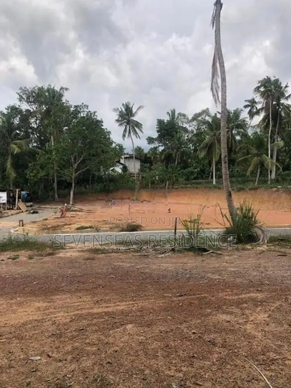 ජාඇලින් හොඳම ඉඩම best land in jaela