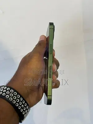 Apple iPhone 13 (Used)