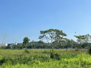 කොට්ටාව මාලපල්ලෙන් වෙල්යායට මුහුණලා ඉඩම්