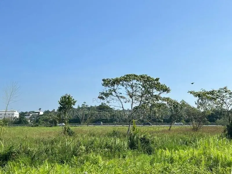කොට්ටාව මාලපල්ලෙන් වෙල්යායට මුහුණලා ඉඩම්
