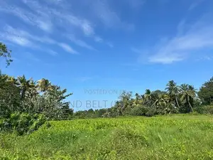 කොට්ටාව මාලපල්ලෙන් වෙල්යායට මුහුණලා ඉඩම්