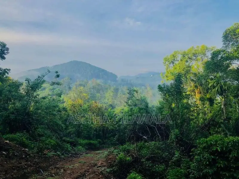 Ellat 4 K.M Durin Land for Sale