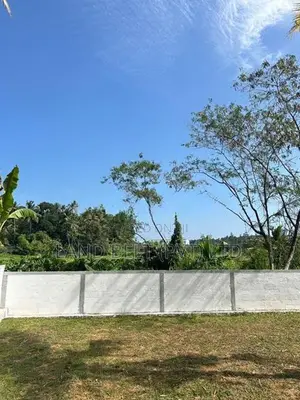 කොට්ටාව මාලපල්ලෙන් වෙල්යායට මුහුණලා ඉඩම්